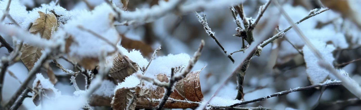 Evangelische Pfarrgemeinde A. & H.B. Hallein