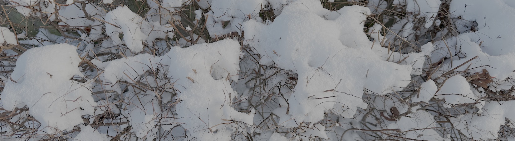Evangelische Pfarrgemeinde A. & H.B. Hallein