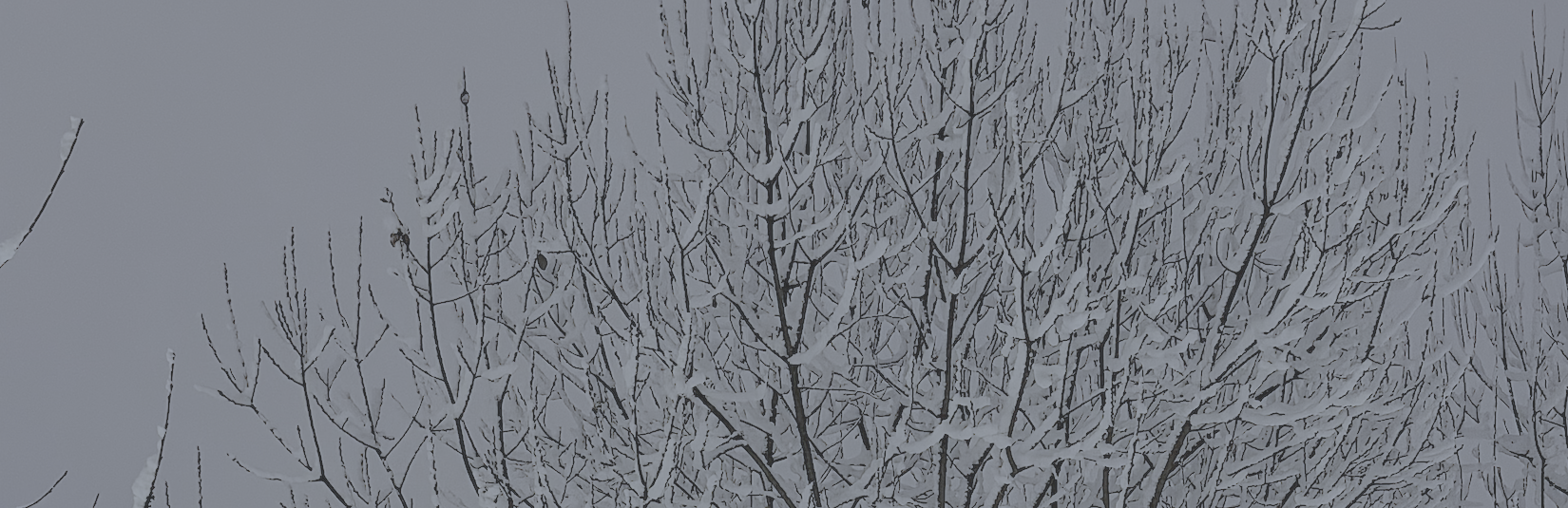 Evangelische Pfarrgemeinde A. & H.B. Hallein